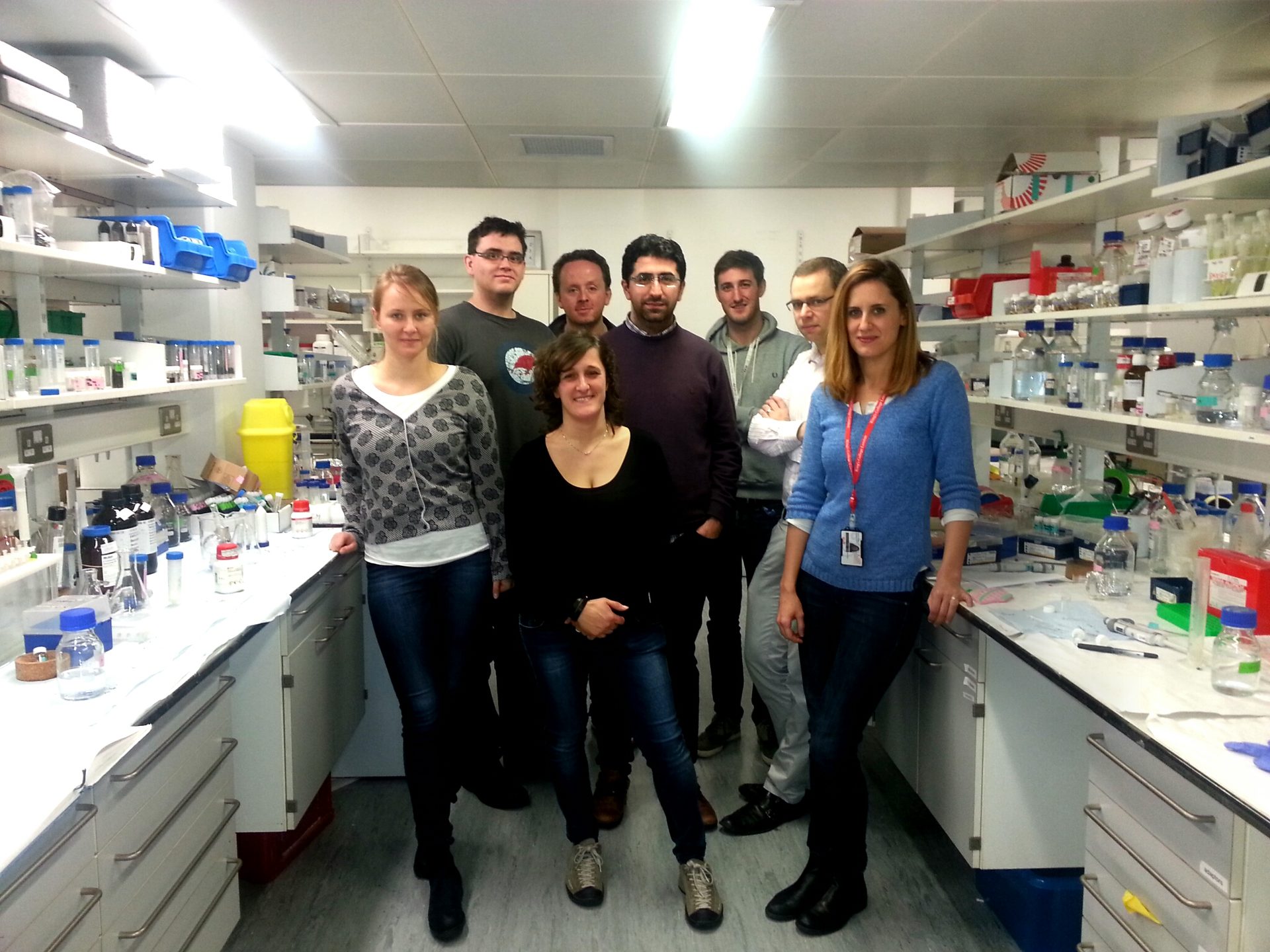 006